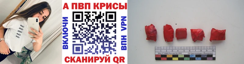 мега рабочий сайт  Кашин  А ПВП крисы CK  купить  сайты 