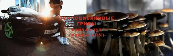 трава Снежинск