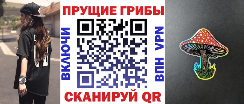 Галлюциногенные грибы прущие грибы  купить наркотик  Кашин 