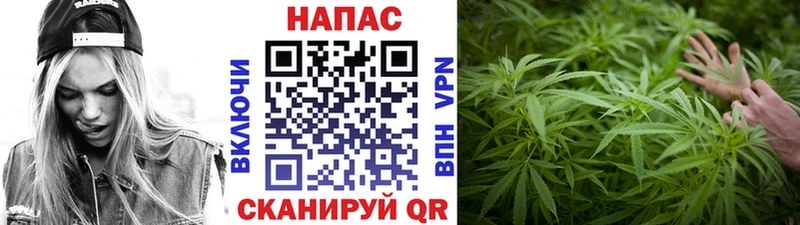 Шишки марихуана MAZAR наркотики Кашин